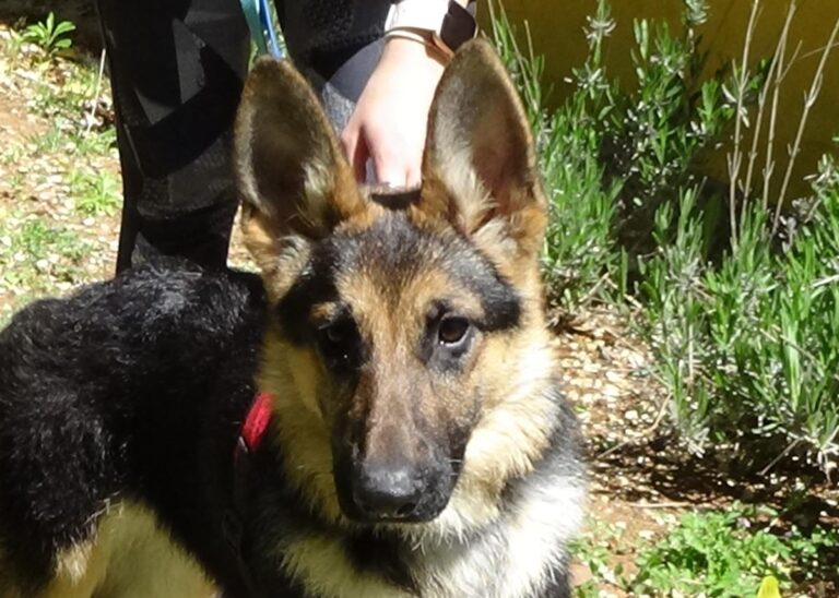 multimedia-foto70759-800-1