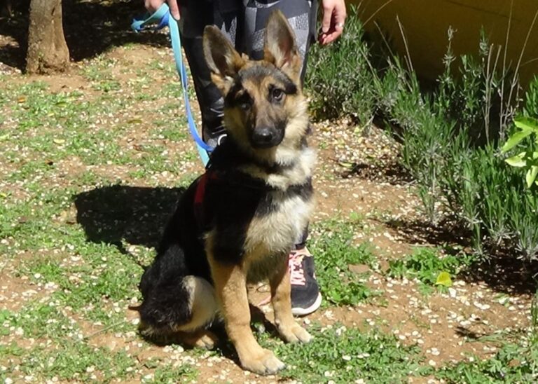 multimedia-foto70760-801-1