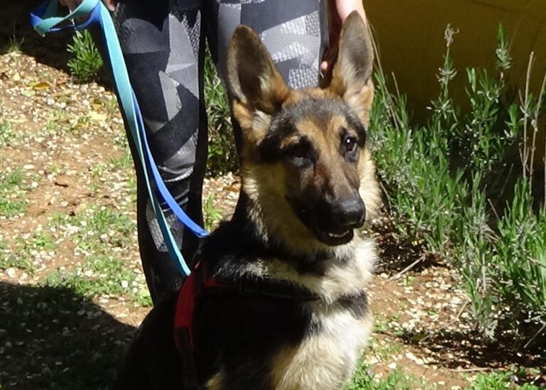 multimedia-foto70761-801-1