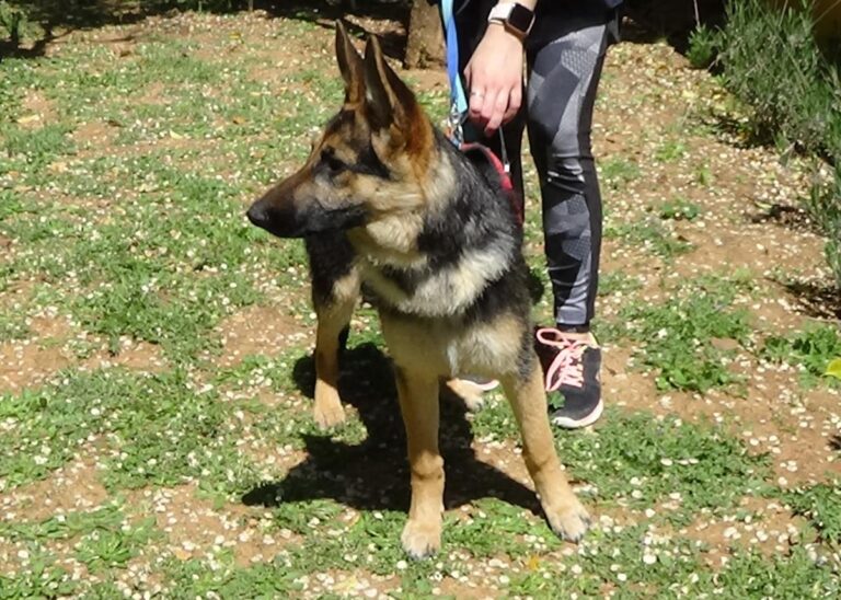 multimedia-foto70762-801-1