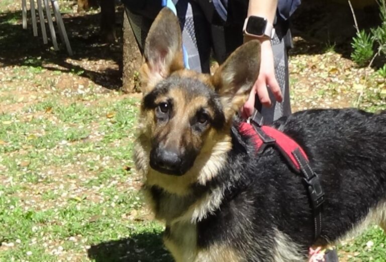 multimedia-foto70763-801-1