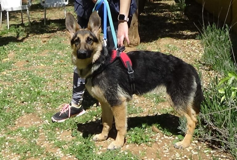 multimedia-foto70764-801-1