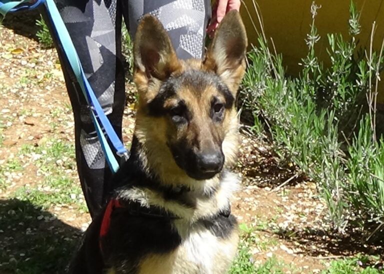 multimedia-foto70765-802-1