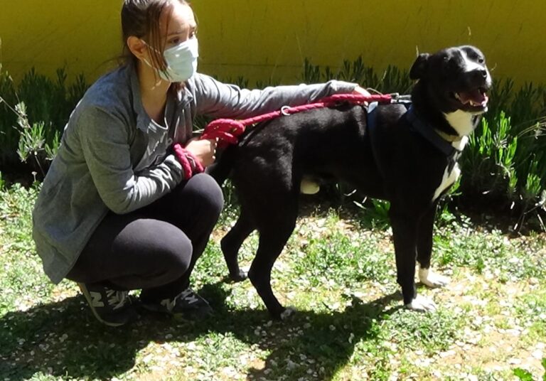 multimedia-foto70780-725-1