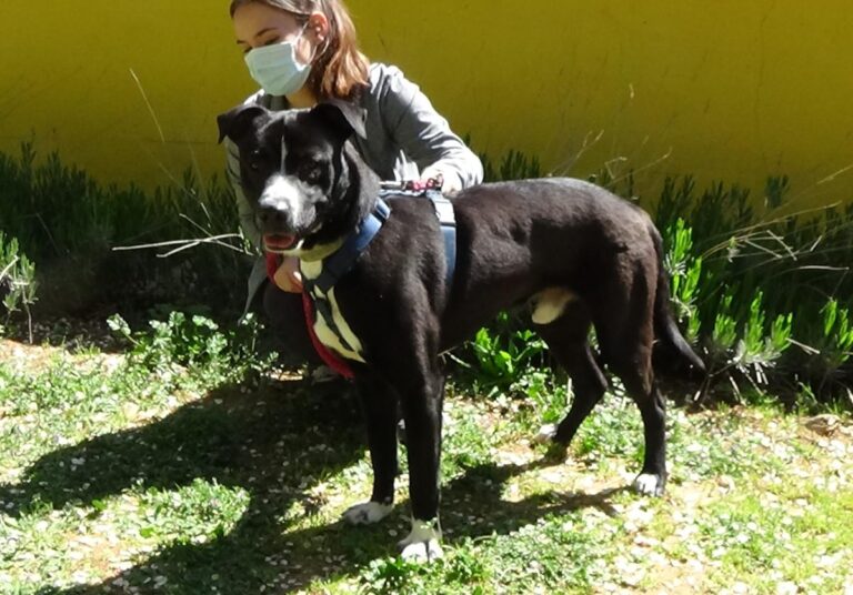 multimedia-foto70781-726-1