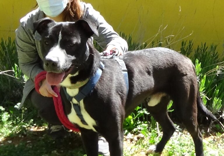 multimedia-foto70782-726-1