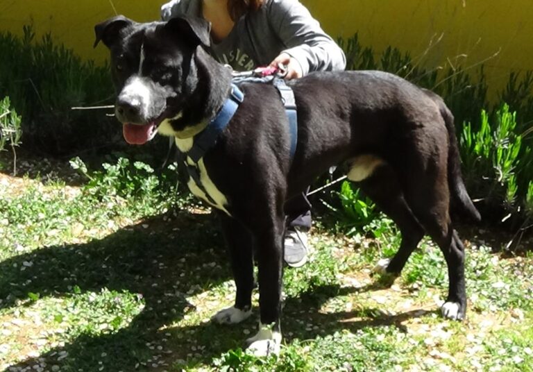 multimedia-foto70783-726-1