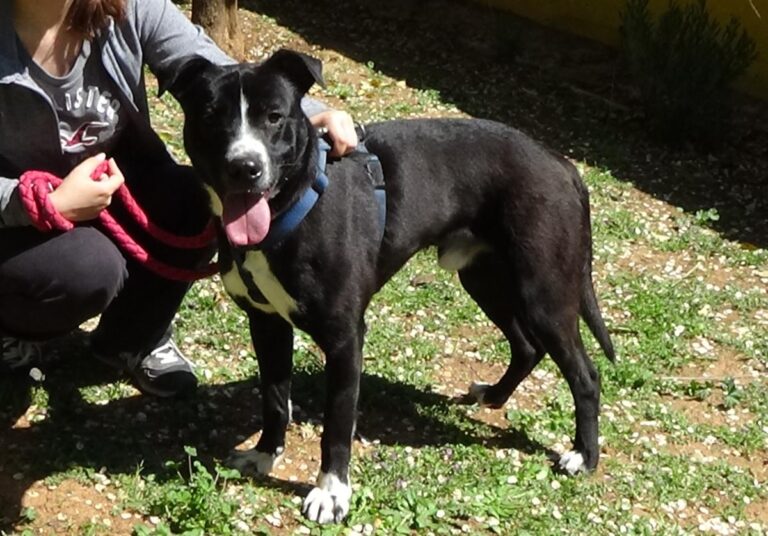 multimedia-foto70784-726-1