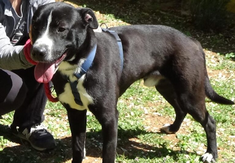 multimedia-foto70785-726-1