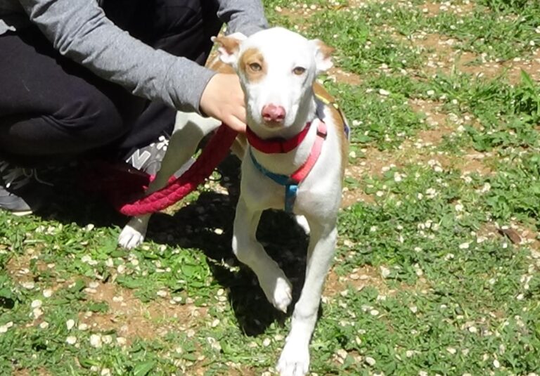 multimedia-foto70786-808-1