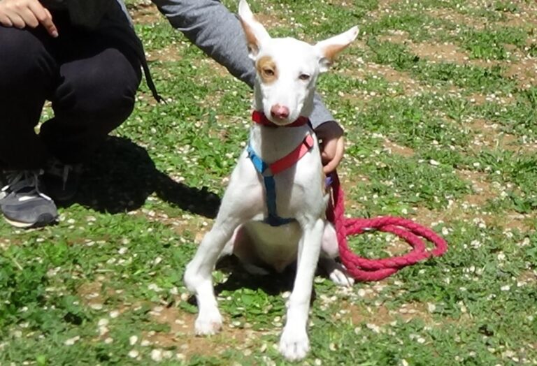 multimedia-foto70789-808-1