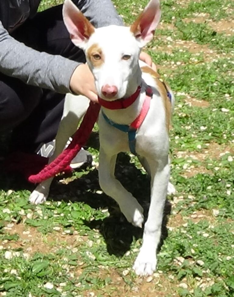 multimedia-foto70790-808-1