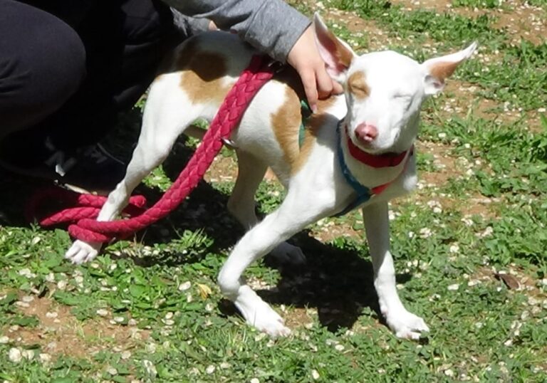 multimedia-foto70791-809-1