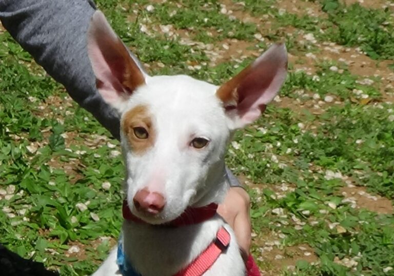 multimedia-foto70792-809-1