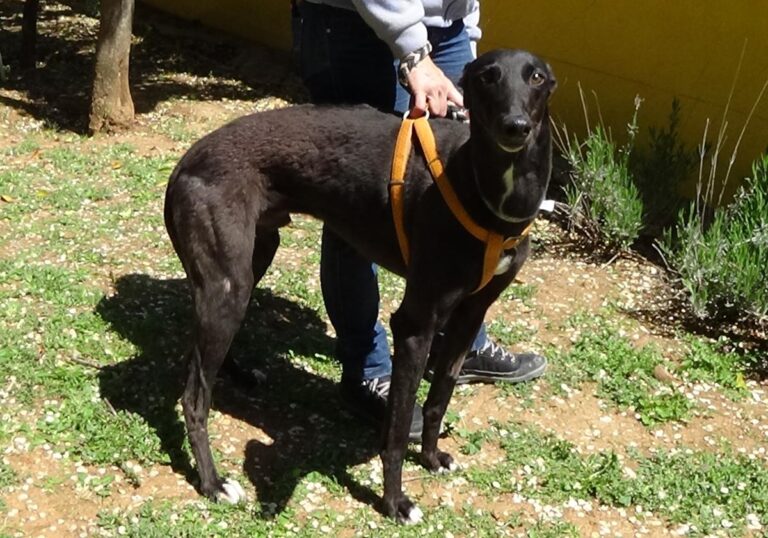 multimedia-foto70793-190-1