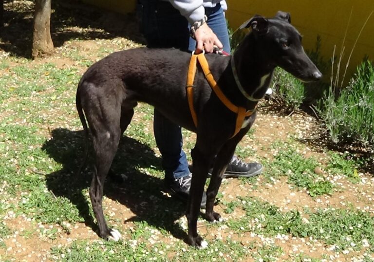 multimedia-foto70794-190-1