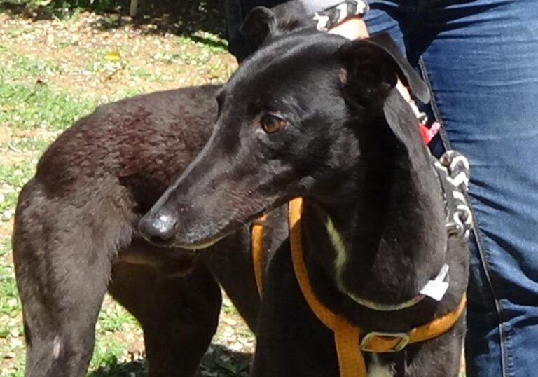 multimedia-foto70795-190-1