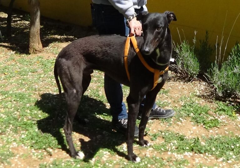 multimedia-foto70796-190-1