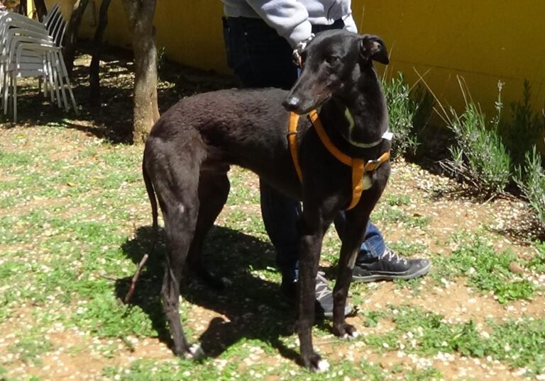 multimedia-foto70797-190-1