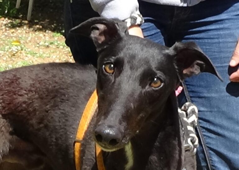 multimedia-foto70798-191-1