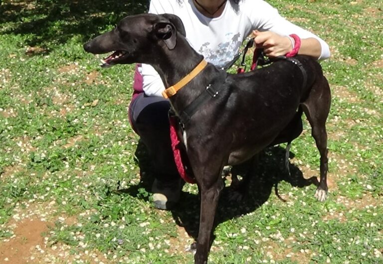 multimedia-foto70807-471-1