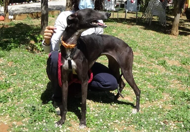 multimedia-foto70808-471-1