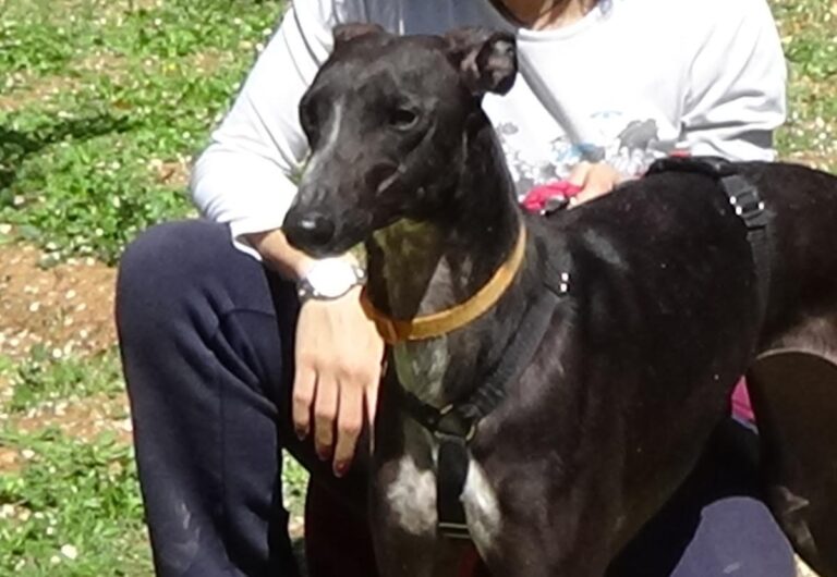 multimedia-foto70809-472-1