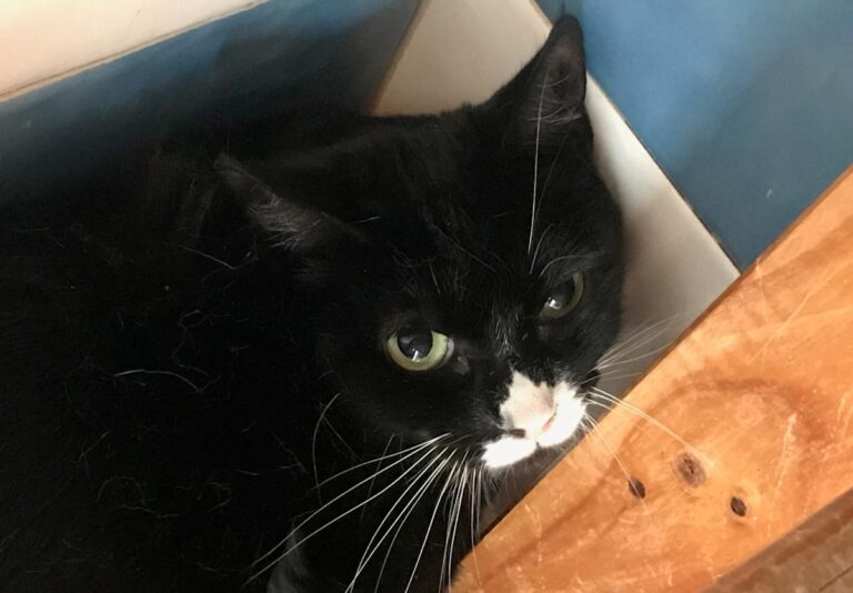 multimedia-foto70967-498-1