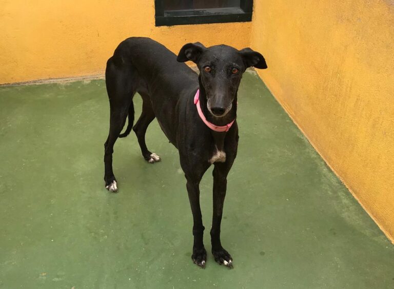 multimedia-foto70969-850-1