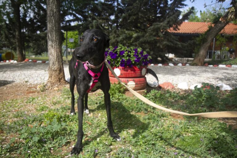 multimedia-foto70975-851-1