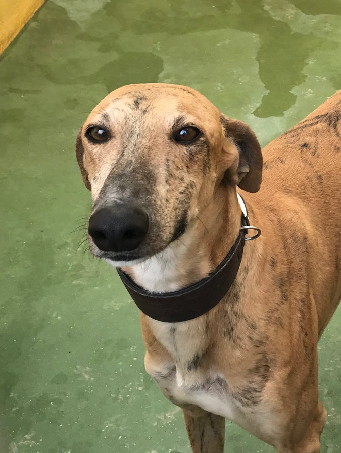 multimedia-foto70977-505-1