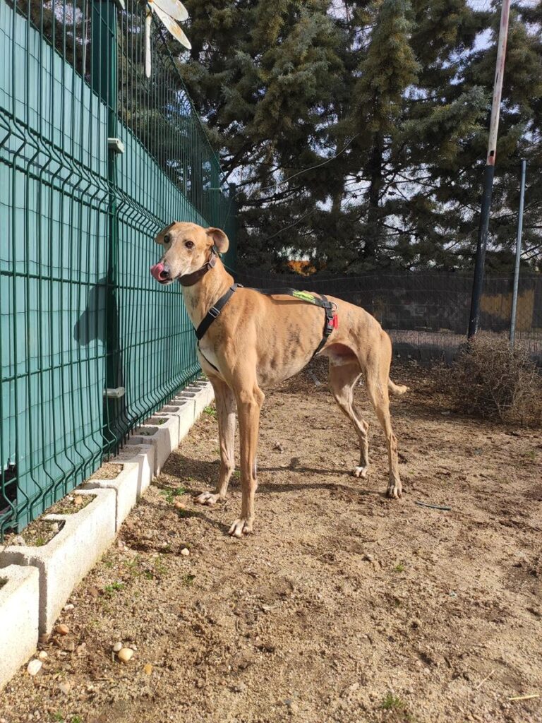 multimedia-foto70978-505-1