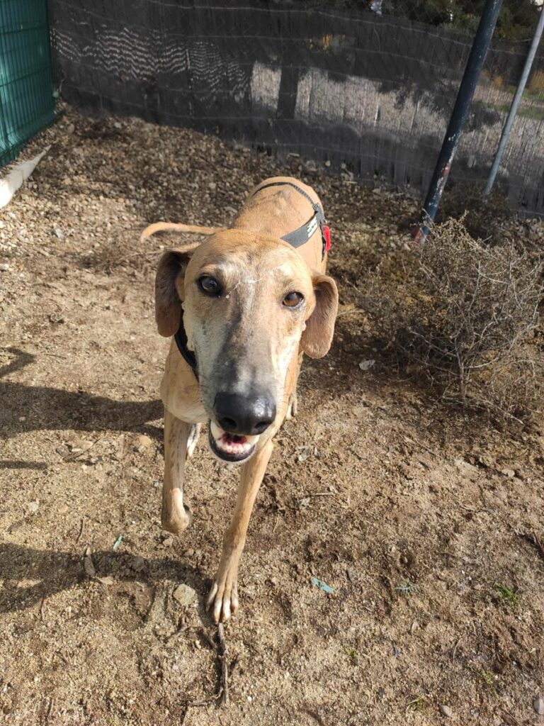 multimedia-foto70979-505-1