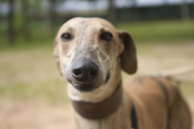 multimedia-foto70980-505-1