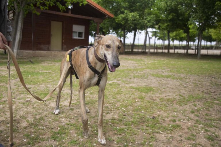 multimedia-foto70981-506-1