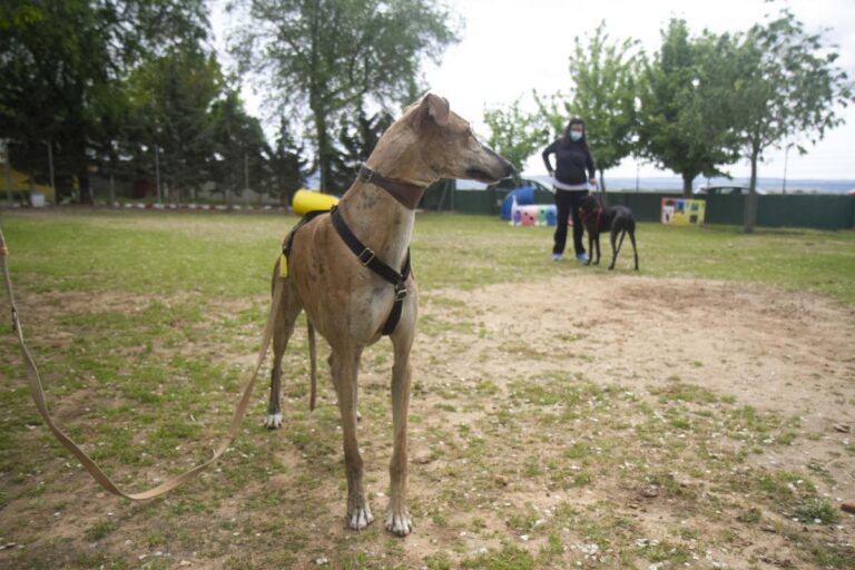 multimedia-foto70982-506-1