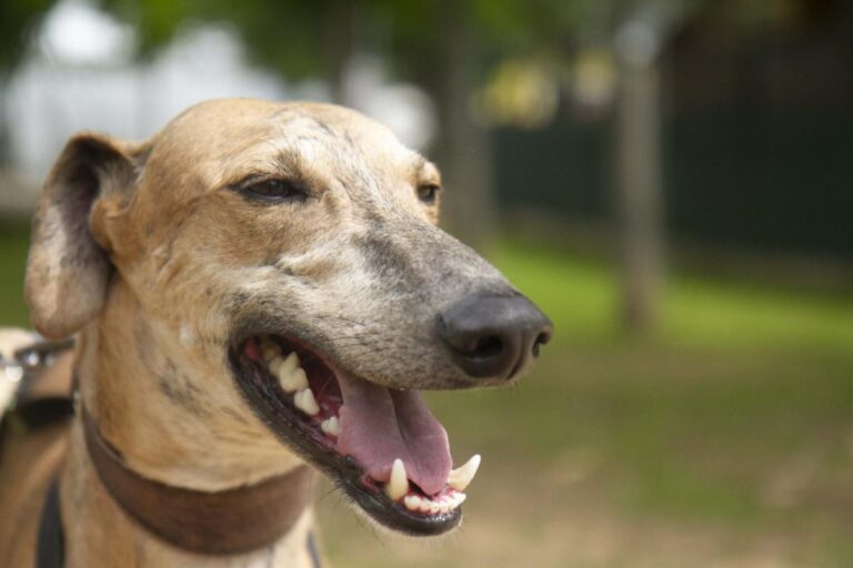 multimedia-foto70984-506-1