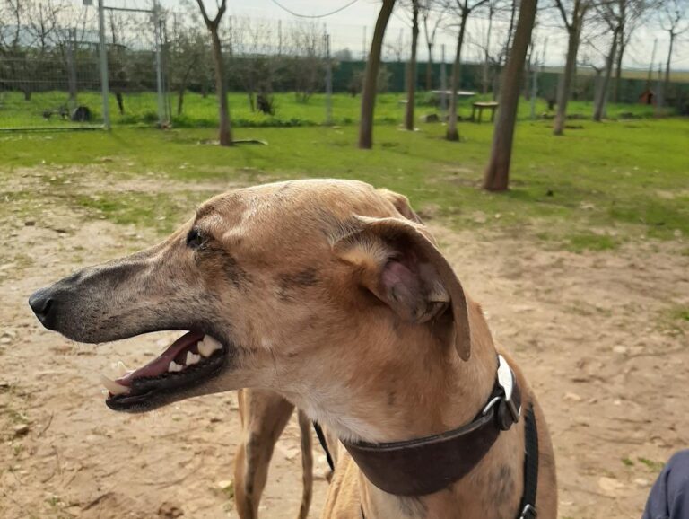 multimedia-foto70985-506-1