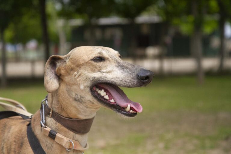 multimedia-foto70986-507-1