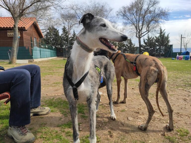 multimedia-foto71000-468-1