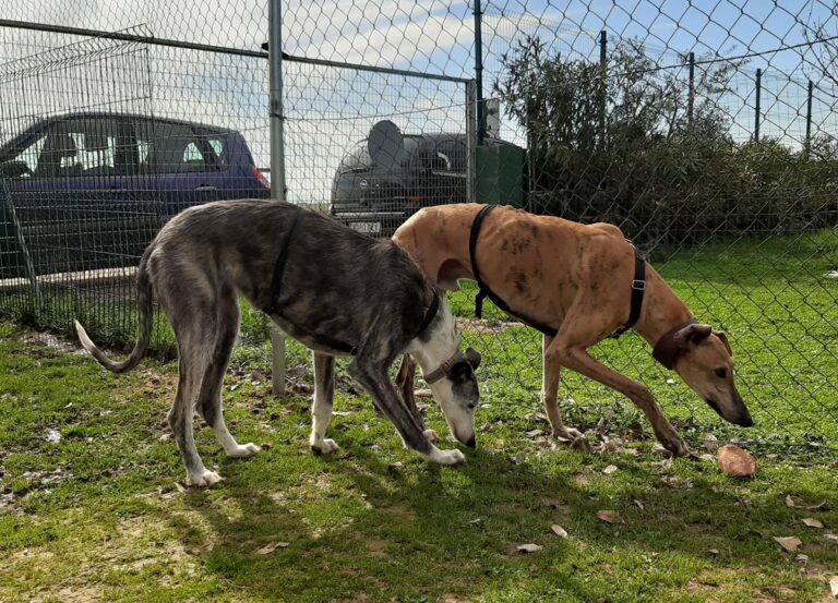 multimedia-foto71001-468-1