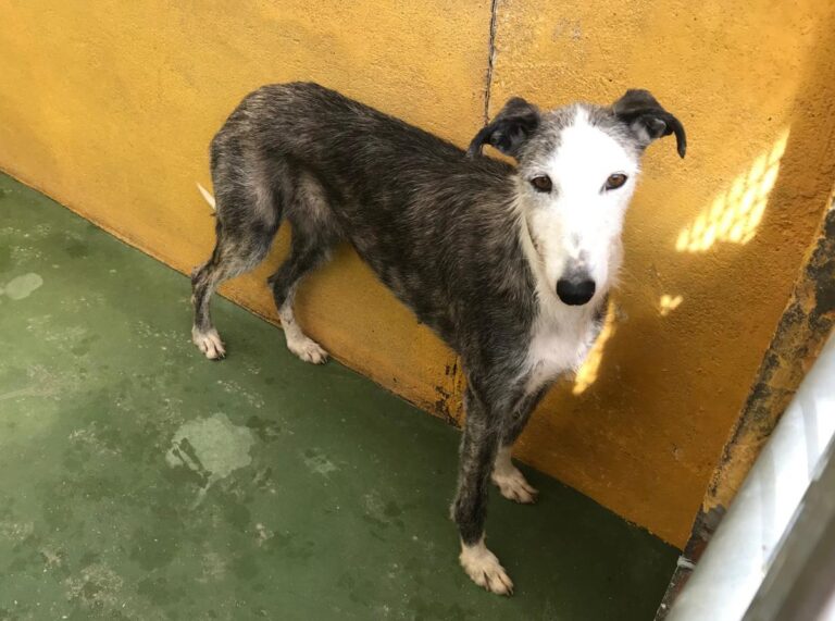 multimedia-foto71029-355-1