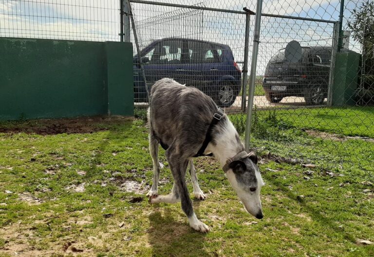 multimedia-foto71030-355-1