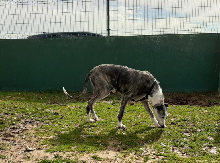 multimedia-foto71031-355-1