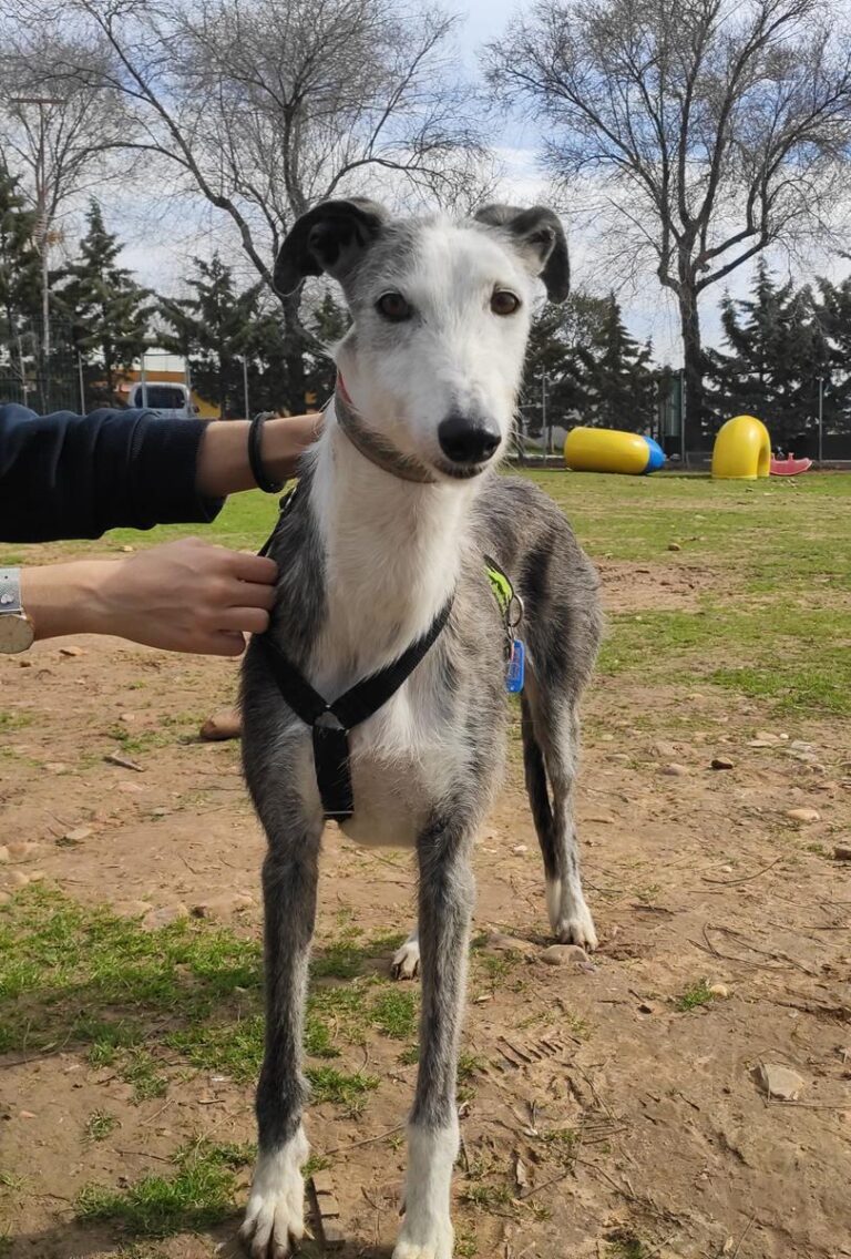 multimedia-foto71032-355-1