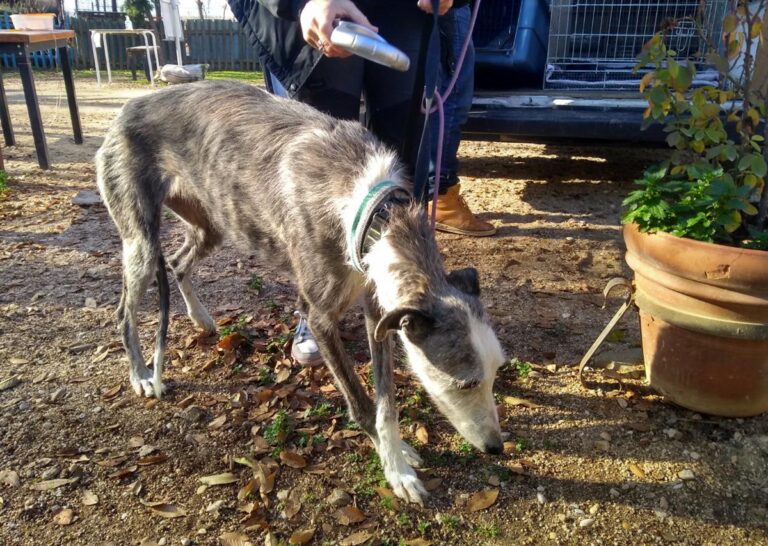 multimedia-foto71033-356-1