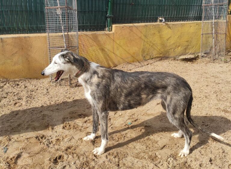 multimedia-foto71034-356-1