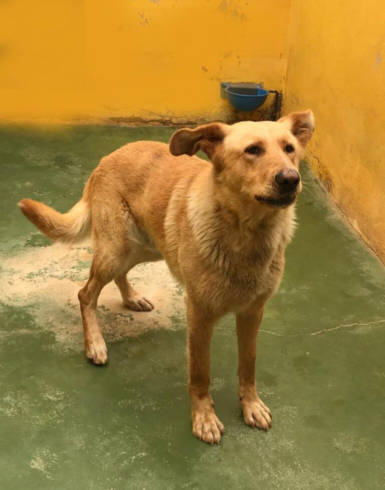 multimedia-foto71057-532-1