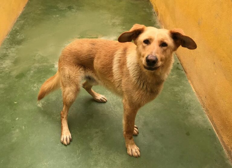 multimedia-foto71058-533-1