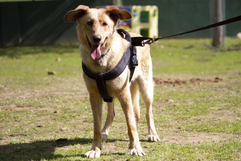 multimedia-foto71059-533-1